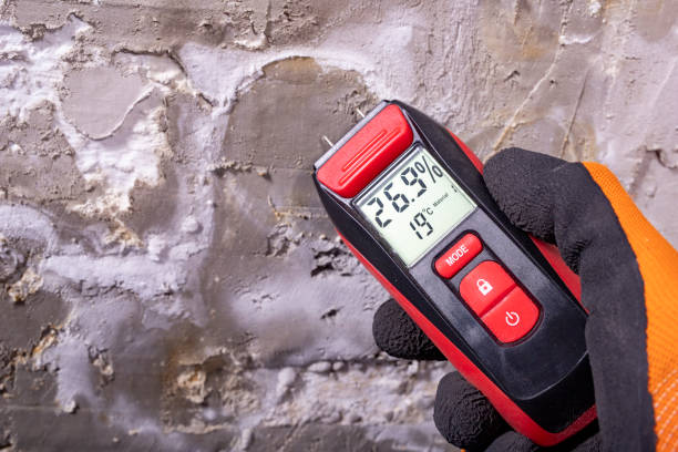 Best Attic Mold Removal  in Caro, MI