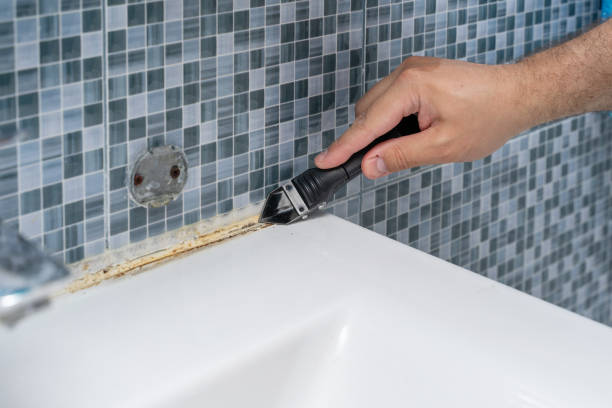 Best Emergency Mold Removal  in Caro, MI