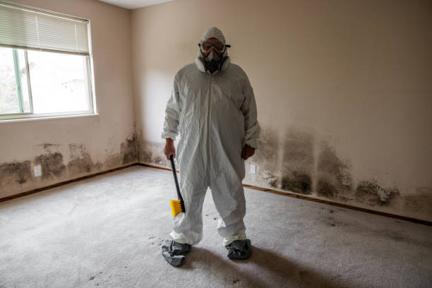 Best Office Mold Removal Services  in Caro, MI